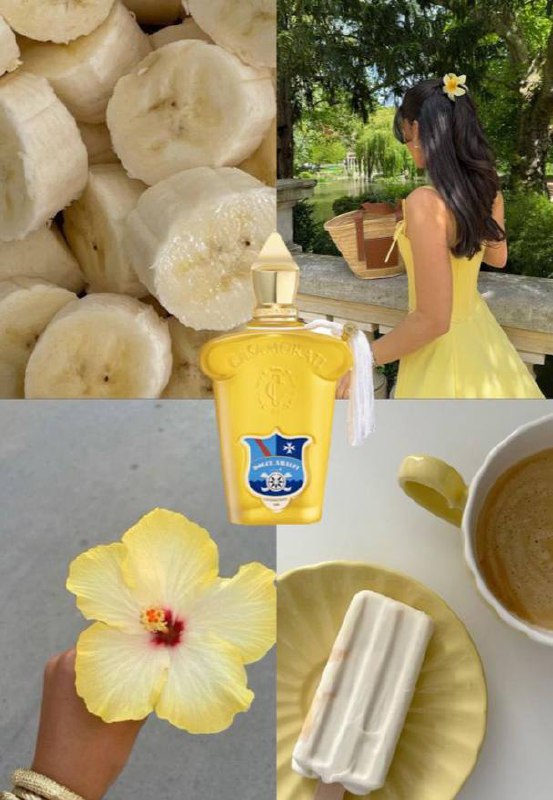 عطر مستر کووالیتی کازاموراتی دولچه امالفی Casamorati Dolce Amalfi - Image 2