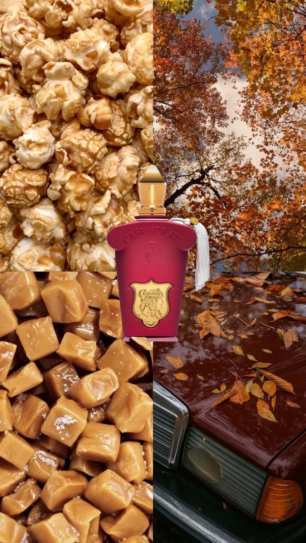 عطر مستر کووالیتی کازاموراتی ایتالیکا Xerjoff Casamorati Italica - Image 2