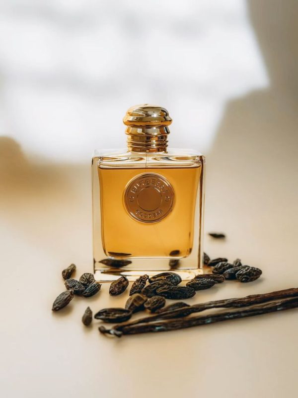 عطر مستر کوالیتی بربری گادس ادوپرفیوم Burberry Goddess Eau de Parfum