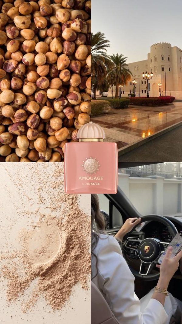 عطر مستر کوالیتی امواج گایدنس Amouage Guidance