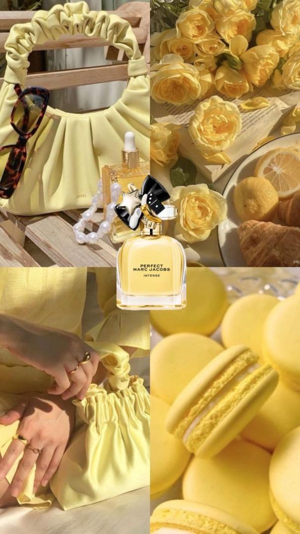 WhatsApp-Image-2025-10-29-at-15.54.59 عطر مستر کوالیتی مارک جیکوبز پرفکت اینتنس Marc Jacobs Perfect Intense