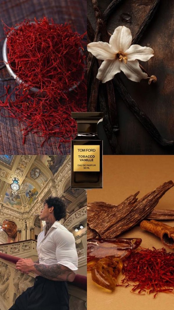 عطر مستر کوالیتی تامفورد توباکو وانیل  Tom Ford Tobacco Vanille