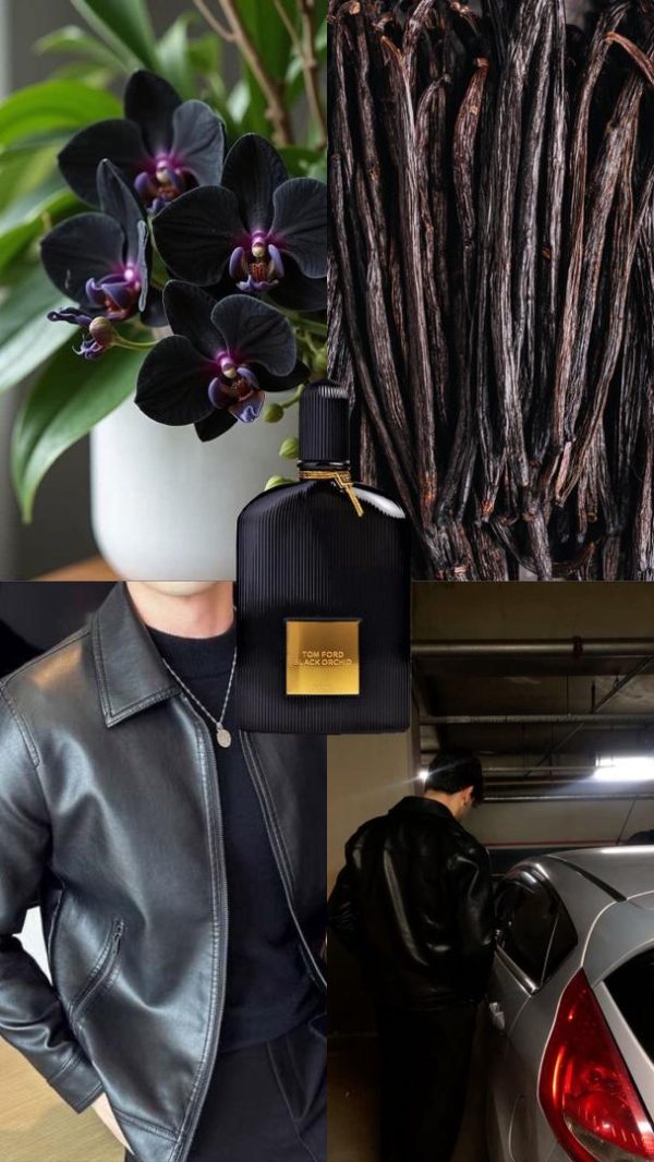 عطر مستر کوالیتی تامفورد بلک اورکید Tom Ford Black Orchid 
