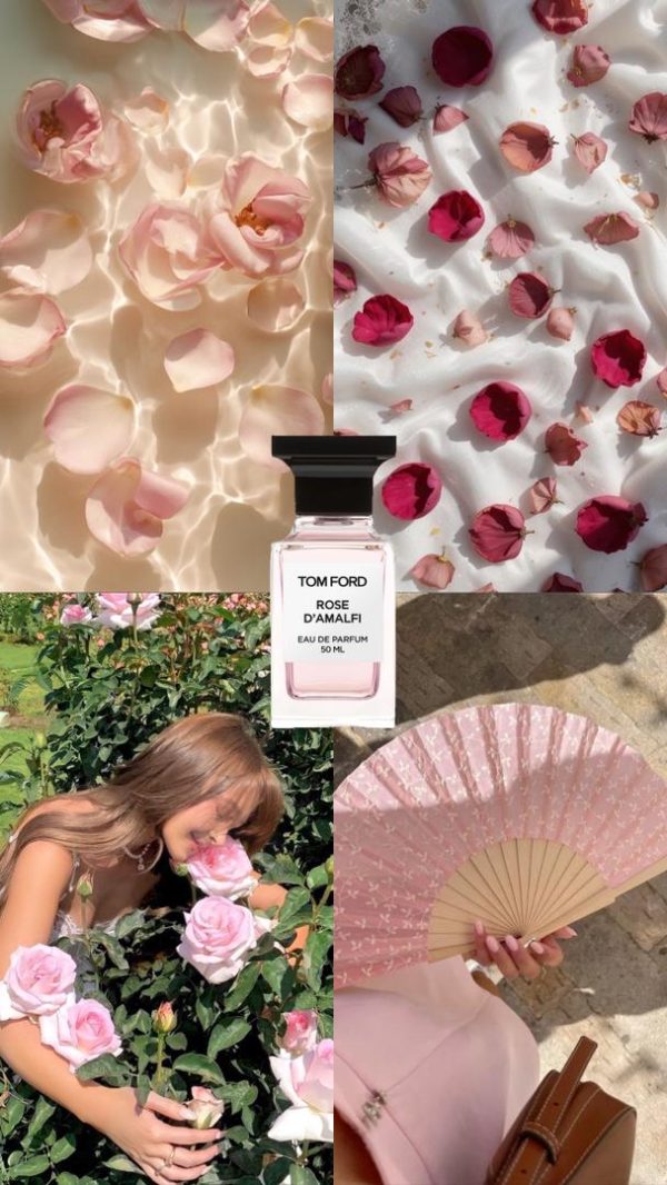 عطر مستر کوالیتی تامفورد رز آمالفی  Tom Ford Rose D’Amalfi 