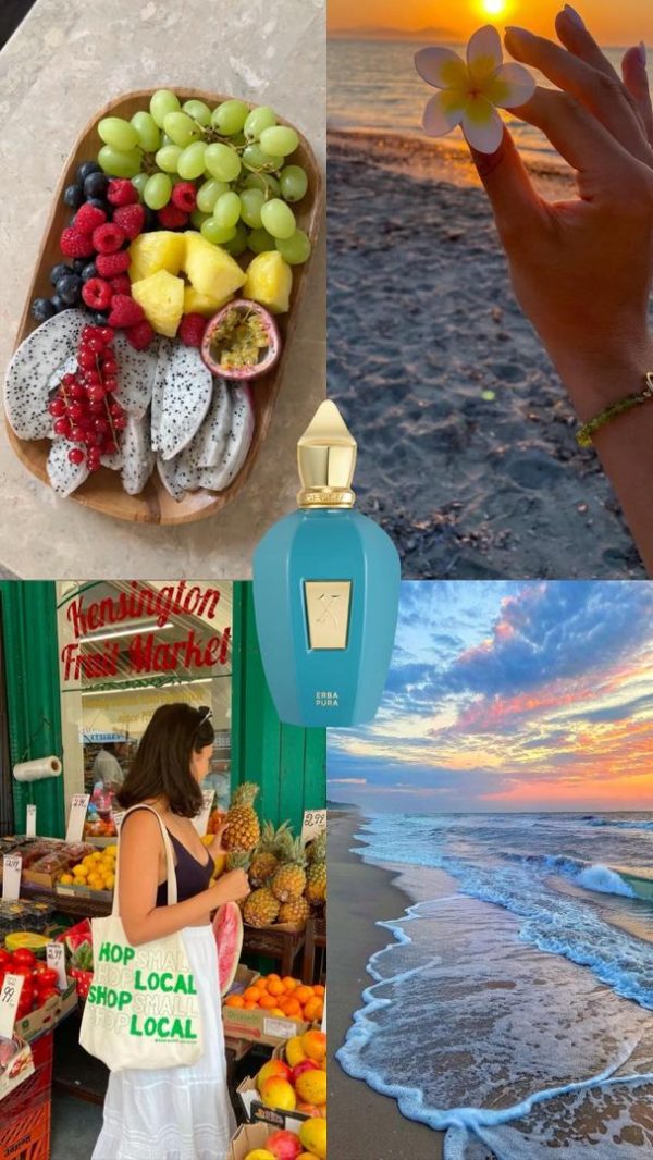 عطر مستر کوالیتی زرجف ارباپورا  Xerjoff Erba Pura