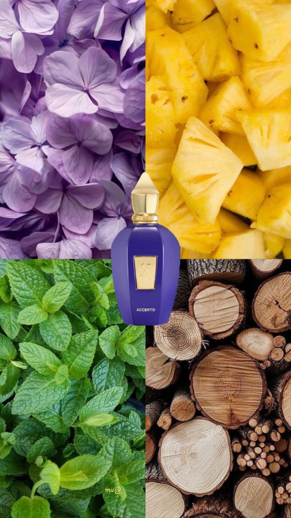 WhatsApp-Image-2025-10-29-at-22.24.51 عطر مستر کوالیتی زرجف اکسنتو Xerjoff Accento