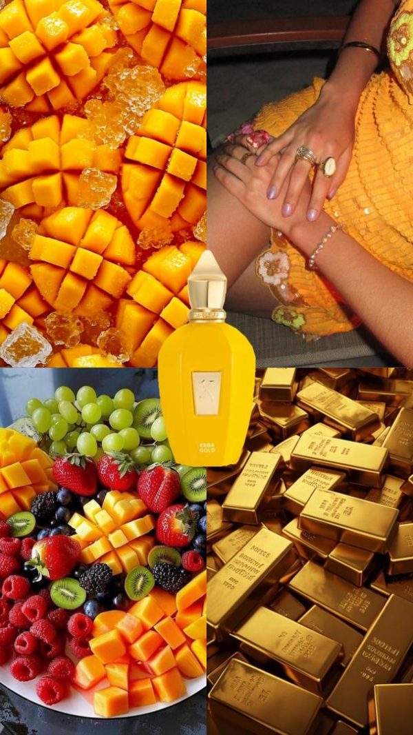 عطر مستر کوالیتی زرجف ارباگلد Xerjoff Erba Gold