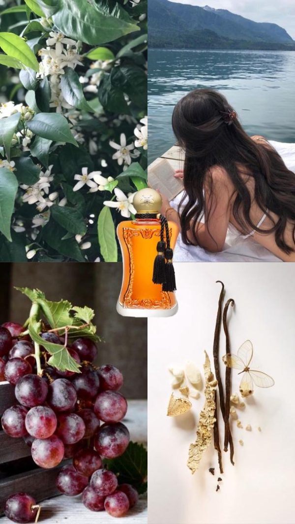 عطر مستر کوالیتی مارلی سافاناد Parfums de Marly Safanad