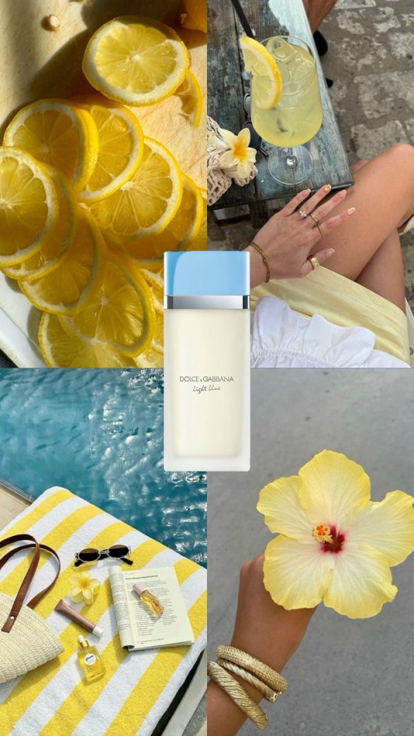 عطر مستر کوالیتی دولچه گابانا لایت بلو زنانه Dolce & Gabbana Light Blue 