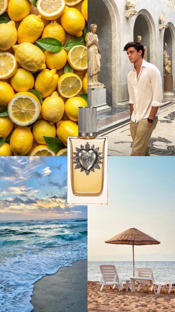 WhatsApp-Image-2025-11-06-at-21.59.15-1 عطر مستر کوالیتی دولچه گابانا دووشن پور هوم Dolce & Gabbana Devotion Pour Homme