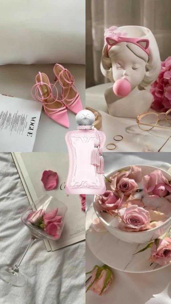 WhatsApp-Image-2025-11-06-at-22.01.27 عطر مستر کوالیتی مارلی لارزی Parfums de Marly Delina