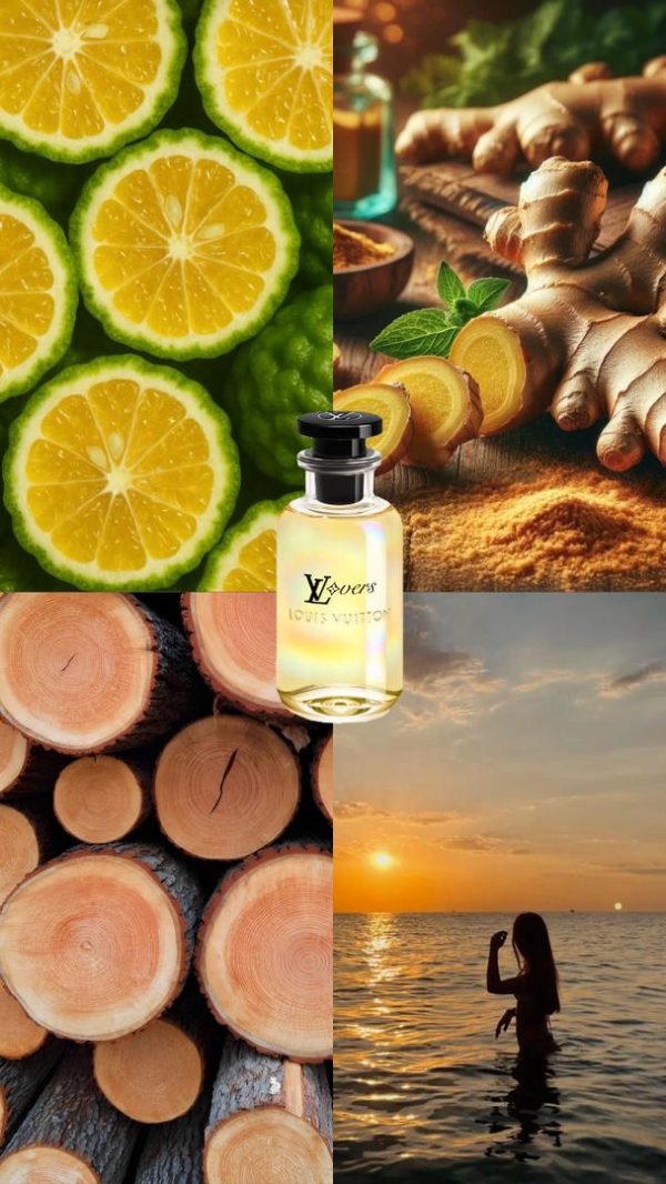 WhatsApp-Image-2025-11-17-at-15.45.21 عطر مستر کوالیتی لویی ویتون لاورز Louis Vuitton Lovers