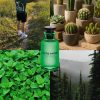WhatsApp-Image-2025-11-21-at-7.13.48-PM-1 عطر مستر کوالیتی لویی ویتون کاکتوس گاردن Louis Vuitton Cactus Garden