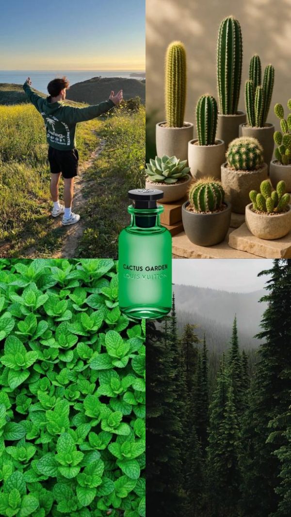 WhatsApp-Image-2025-11-21-at-7.13.48-PM-1 عطر مستر کوالیتی لویی ویتون کاکتوس گاردن Louis Vuitton Cactus Garden