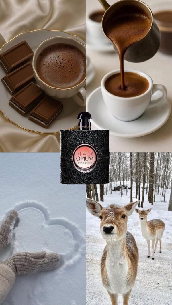 WhatsApp-Image-2025-11-22-at-9.34.11-PM عطر مستر کوالیتی ایوسن لورن بلک اوپیوم Black Opium