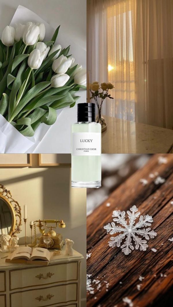 عطر مستر کوالیتی دیور لاکی Dior Lucky Eau de Parfum