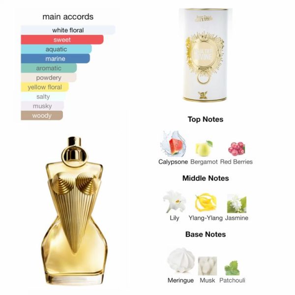 5db32a01a9bb866ece3cea25cb8f51de عطر مستر کوالیتی ژان دیواین الکسیر Jean Paul Gaultier Divine
