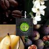 عطر مستر کوالیتی ایوسن لورن بلک اوپیوم ایلیسیت گرین YSL Black Opium Illicit Green