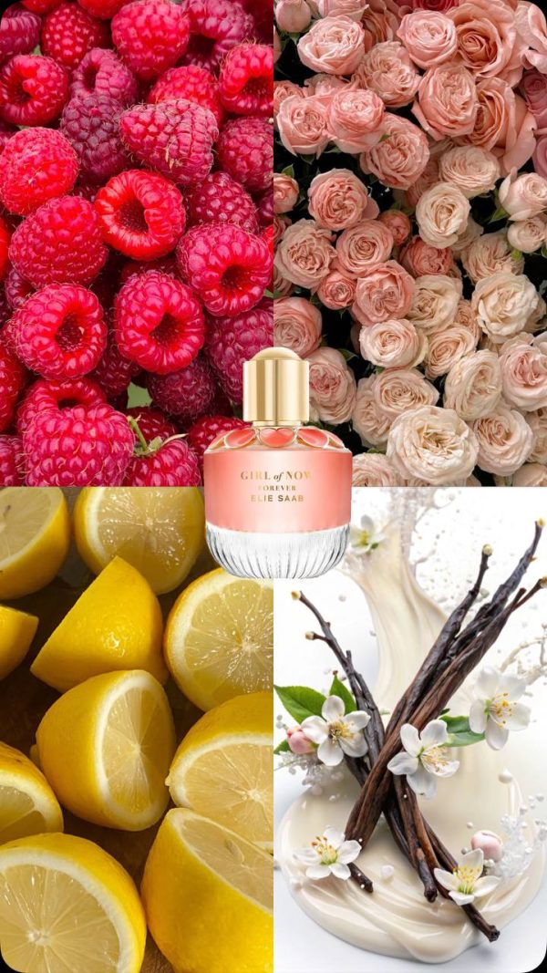 photo_5814223303525207259_y عطر مستر الی ساب گرل او نو Elie Saab Girl of Now