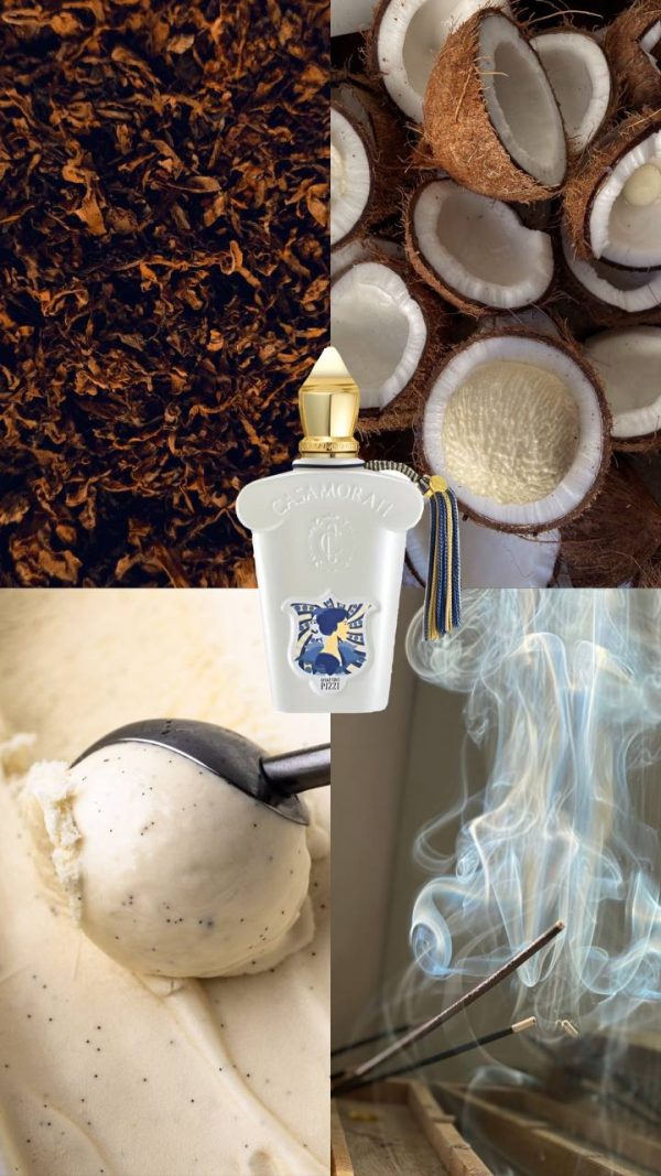 photo_5814357409584058049_y عطر مستر کوالیتی کازاموراتی کواترو پیتسی Casamorati Quattro Pizzi