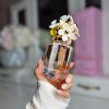 IMG_1182 عطر مستر کوالیتی مارک جاکوبز دیسی دیزی او سو فرش Marc Jacobs Daisy Eau So Fresh